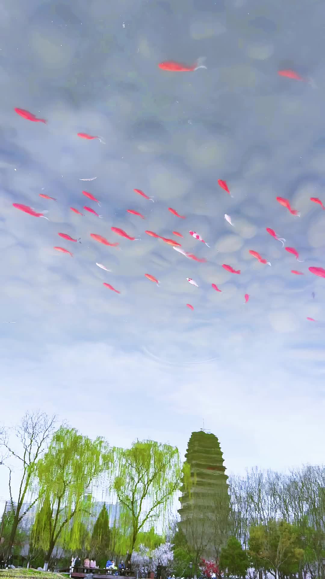 醉後不知天在水，滿船清夢壓星河
