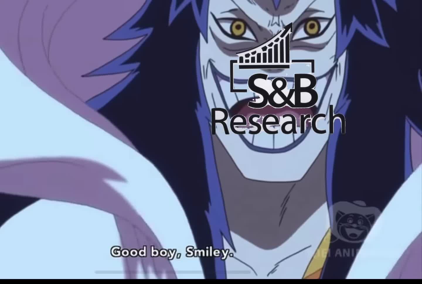 2025年表現 - 標普500 vs S&B研究