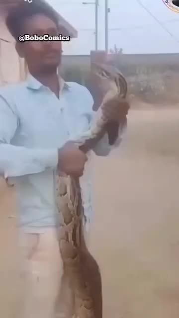 這月的危險度極高 難道你還不知道嗎？還抓來玩😂被咬了痛嗎😂