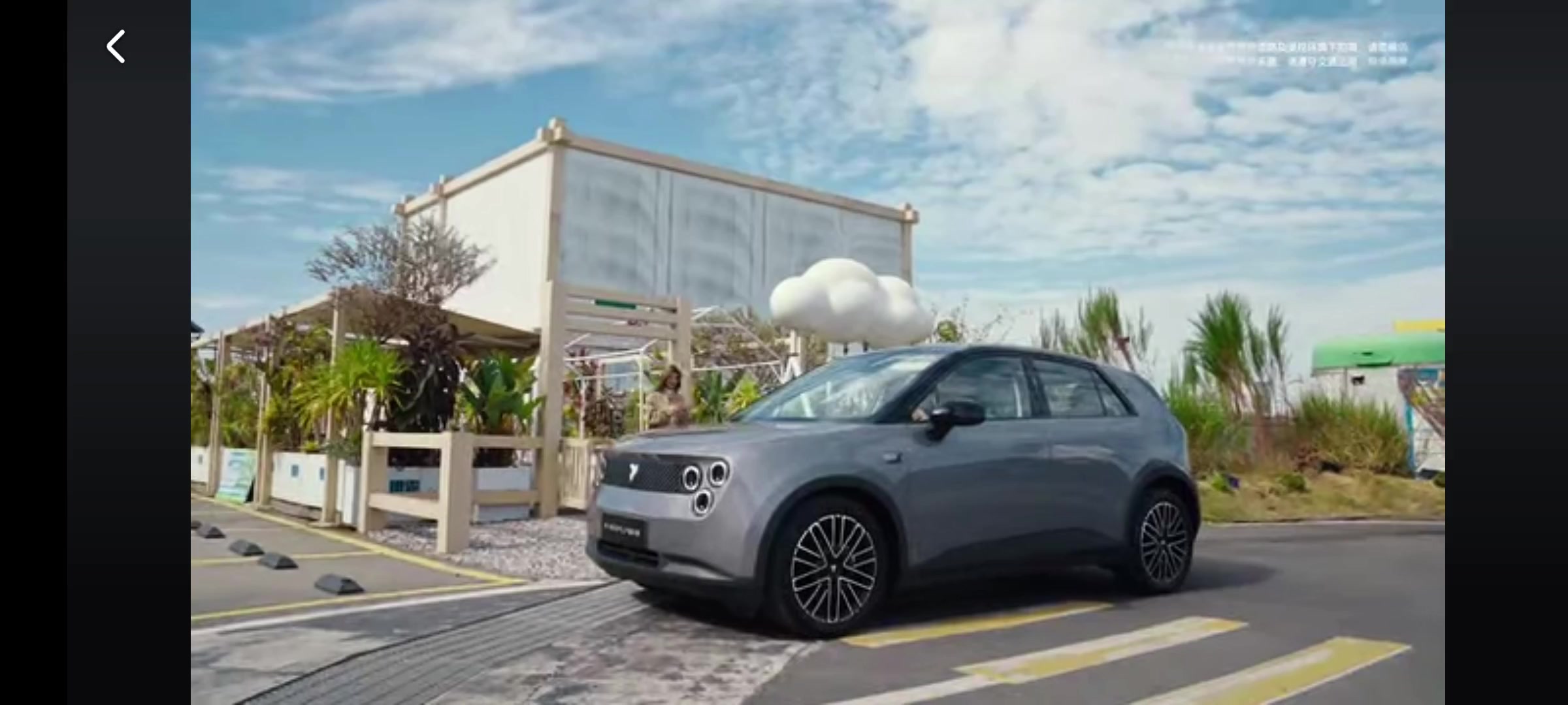 投資者需要注意什麼是好車。Leap motor、比亞迪因爲成本賣得更多。Firefly將會趕超。