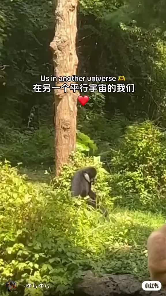 輕鬆一刻～早點突破我們就還是天下第一好～～