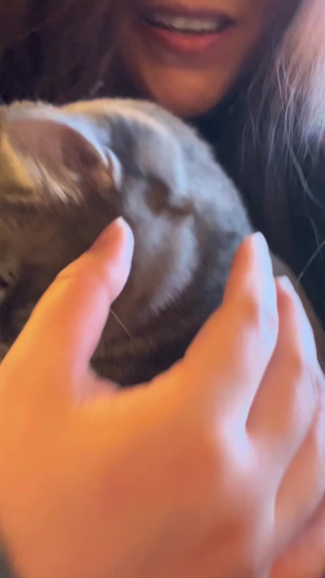 Something Different Today — A Little Story Many of You Asked Me About 😄🐾