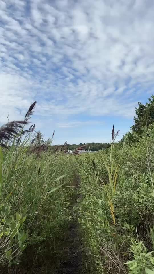 英偉達與英特爾一起攀升，市場走穩且幾乎沒有變動 | 股票市場的行情